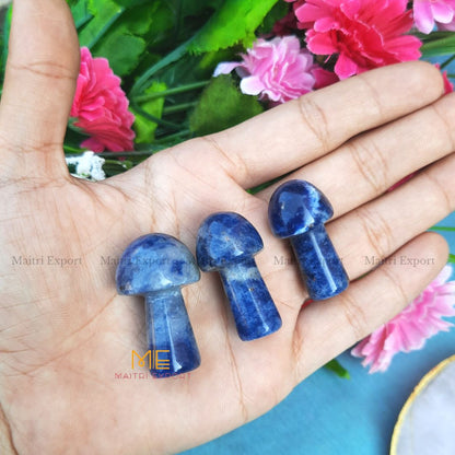 Small mushrooms-Sodalite-Maitri Export | Crystals Store