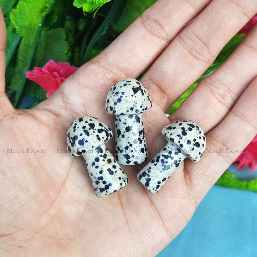 Small mushrooms-Dalmatian-Maitri Export | Crystals Store