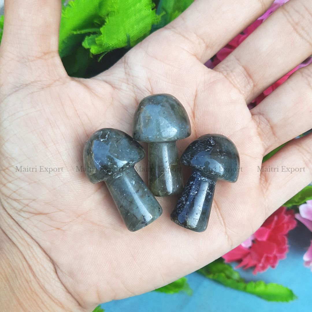 Small mushrooms-Labradorite-Maitri Export | Crystals Store